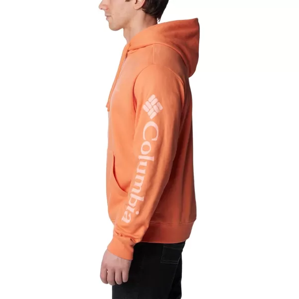 Columbia Men's Viewmont Ii Sleeve Graphic Hoodie