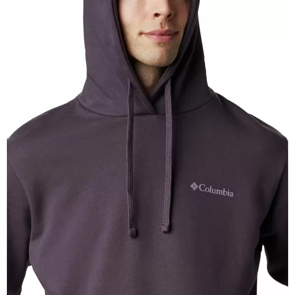 Columbia Men's Viewmont Ii Sleeve Graphic Hoodie