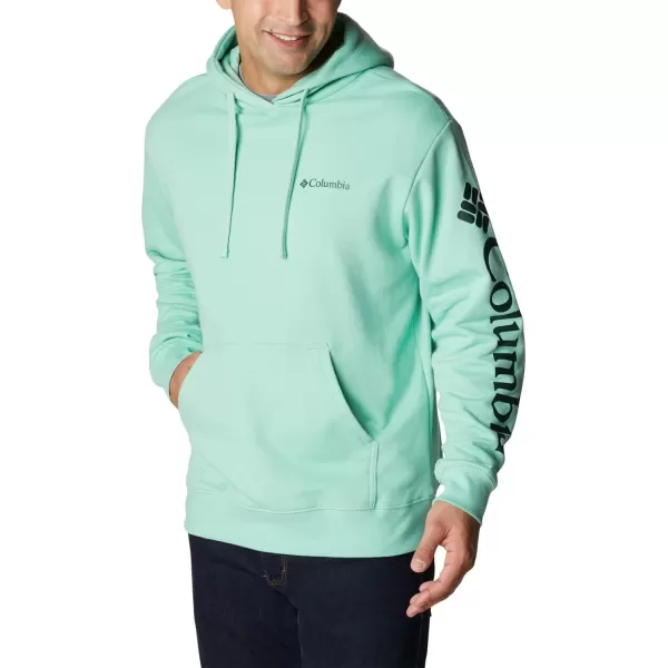 Columbia Men's Viewmont Ii Sleeve Graphic Hoodie