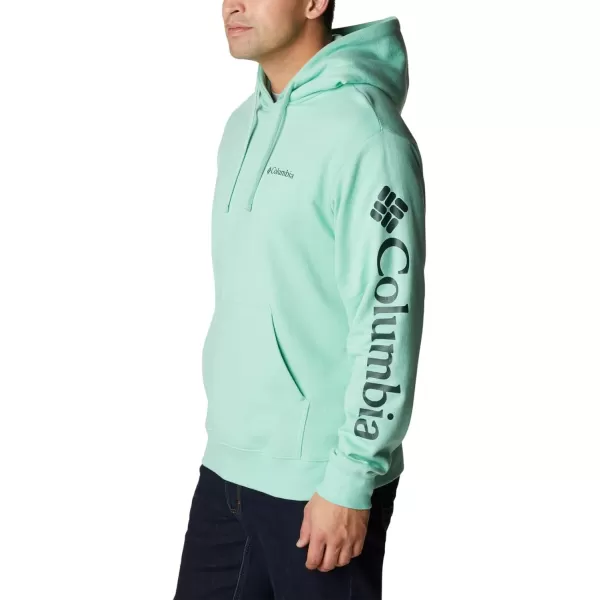 Columbia Men's Viewmont Ii Sleeve Graphic Hoodie