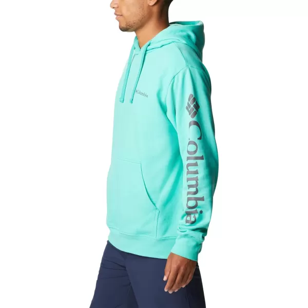 Columbia Men's Viewmont Ii Sleeve Graphic Hoodie