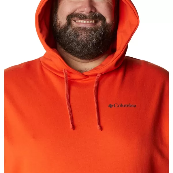 Columbia Men's Viewmont Ii Sleeve Graphic Hoodie