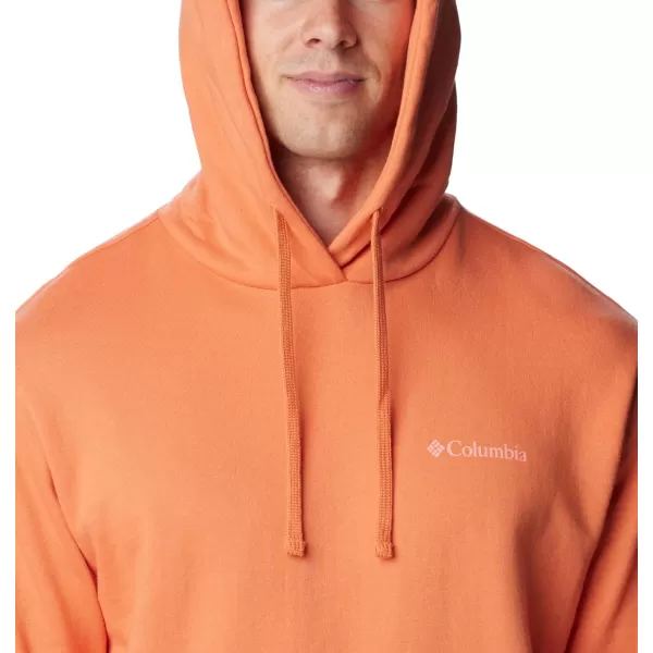 Columbia Men's Viewmont Ii Sleeve Graphic Hoodie