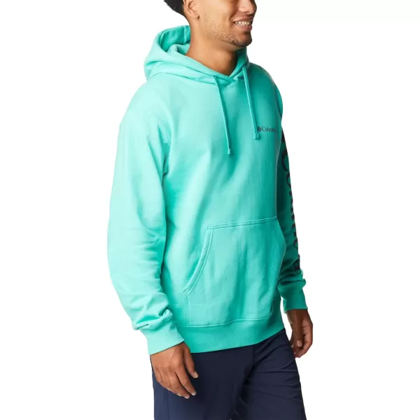 Columbia Men's Viewmont Ii Sleeve Graphic Hoodie