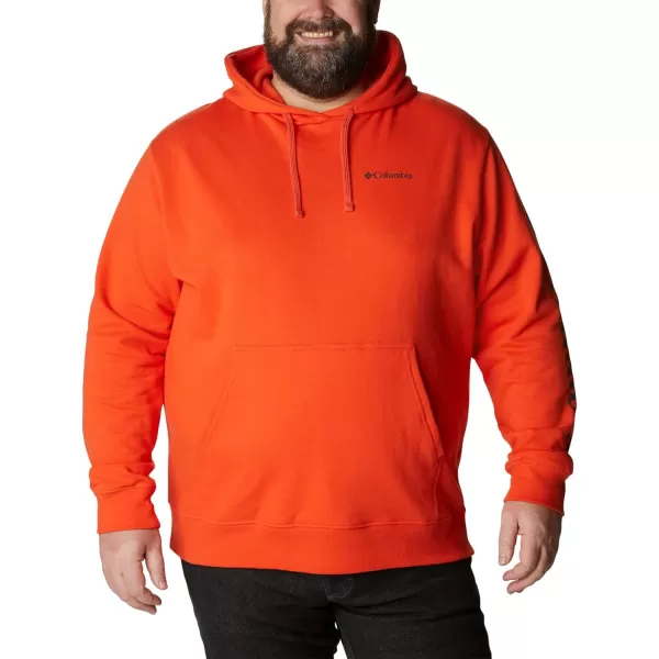 Columbia Men's Viewmont Ii Sleeve Graphic Hoodie