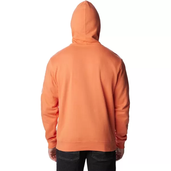 Columbia Men's Viewmont Ii Sleeve Graphic Hoodie