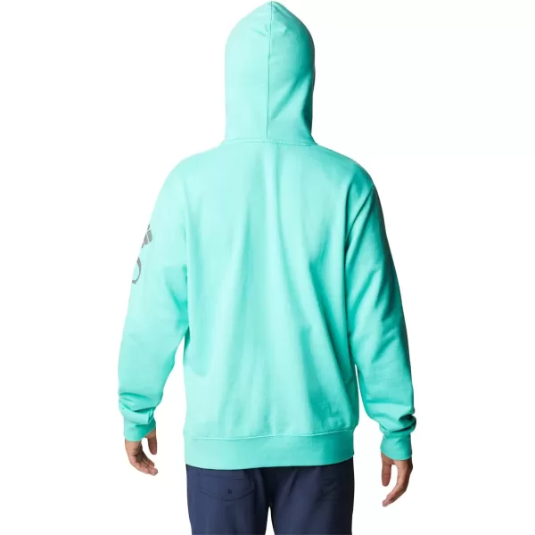 Columbia Men's Viewmont Ii Sleeve Graphic Hoodie