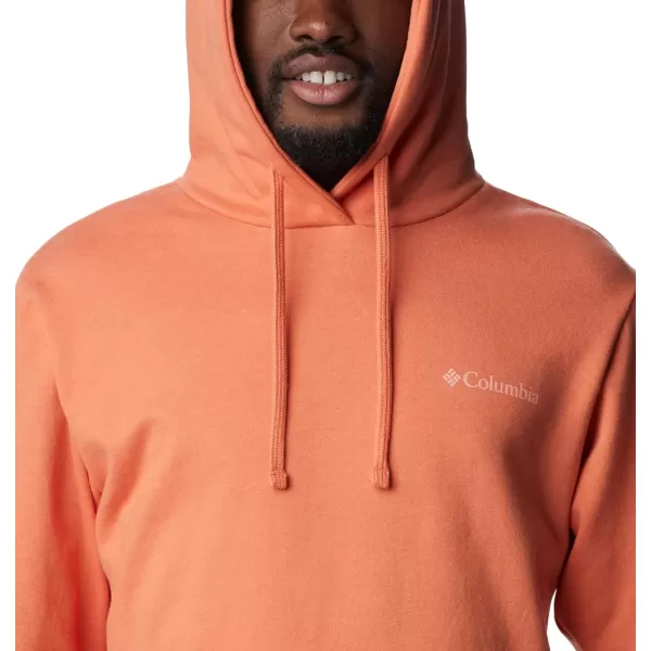 Columbia Men's Viewmont Ii Sleeve Graphic Hoodie