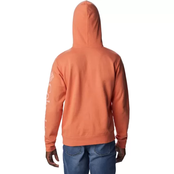 Columbia Men's Viewmont Ii Sleeve Graphic Hoodie