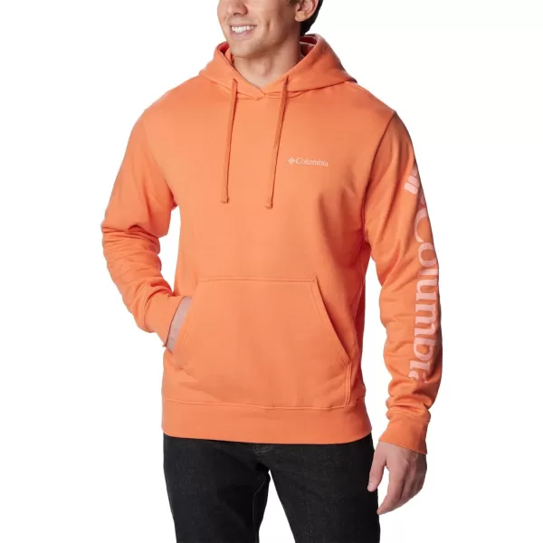 Columbia Men's Viewmont Ii Sleeve Graphic Hoodie