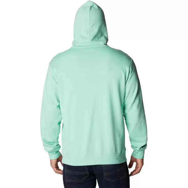 Columbia Men's Viewmont Ii Sleeve Graphic Hoodie