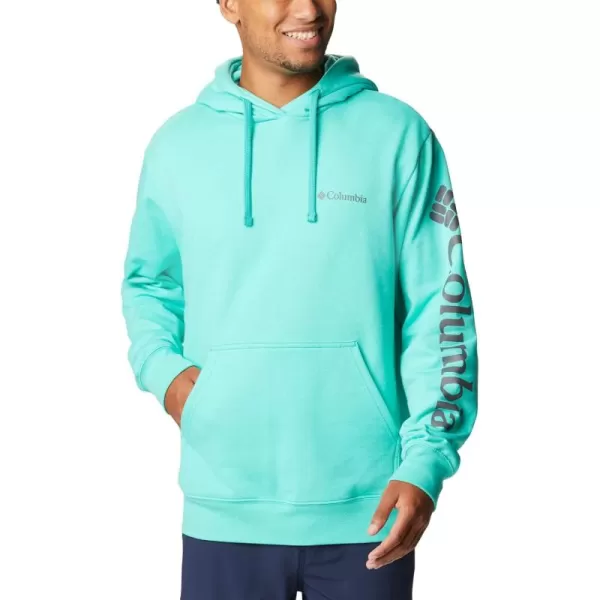 Columbia Men's Viewmont Ii Sleeve Graphic Hoodie