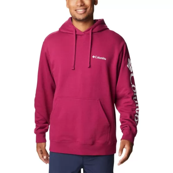 Columbia Men's Viewmont Ii Sleeve Graphic Hoodie