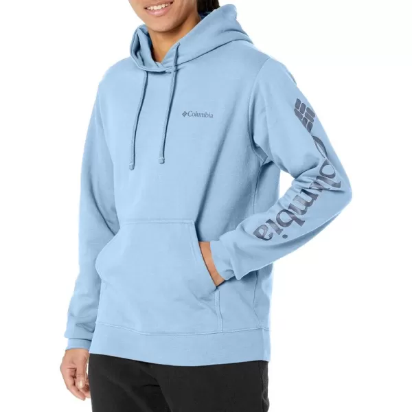 Columbia Men's Viewmont Ii Sleeve Graphic Hoodie