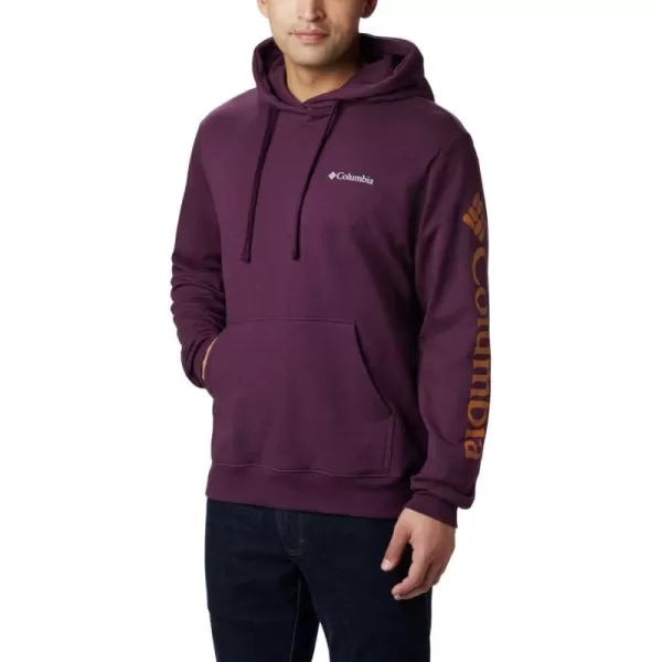 Columbia Men's Viewmont Ii Sleeve Graphic Hoodie