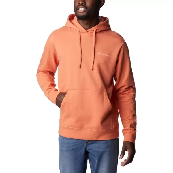 Columbia Men's Viewmont Ii Sleeve Graphic Hoodie