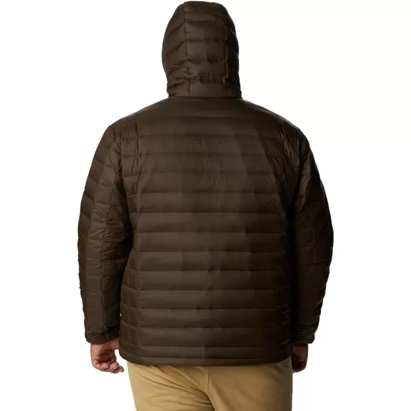 Columbia Men's Voodoo Falls 590 Turbodown Hooded Jacket