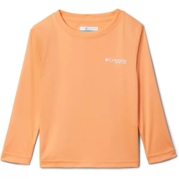Columbia Boys' Terminal Tackle PFG Triangle Logo Long Sleeve