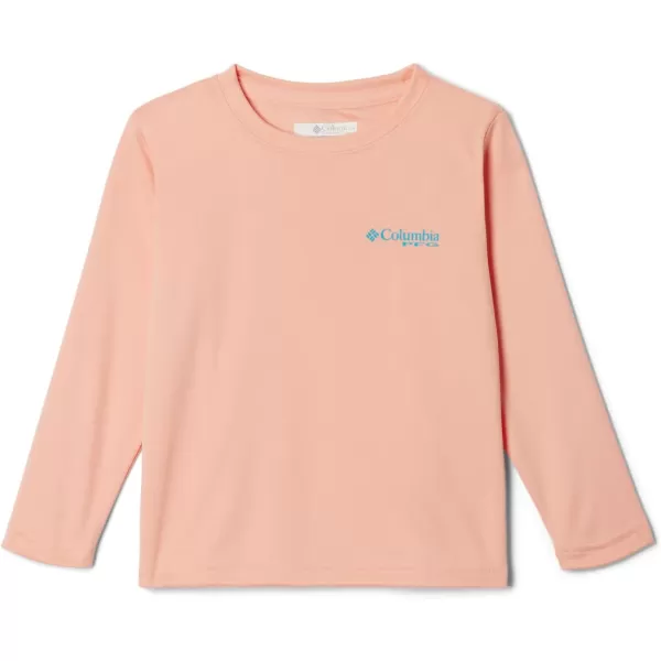 Columbia Boys' Terminal Tackle PFG Triangle Logo Long Sleeve
