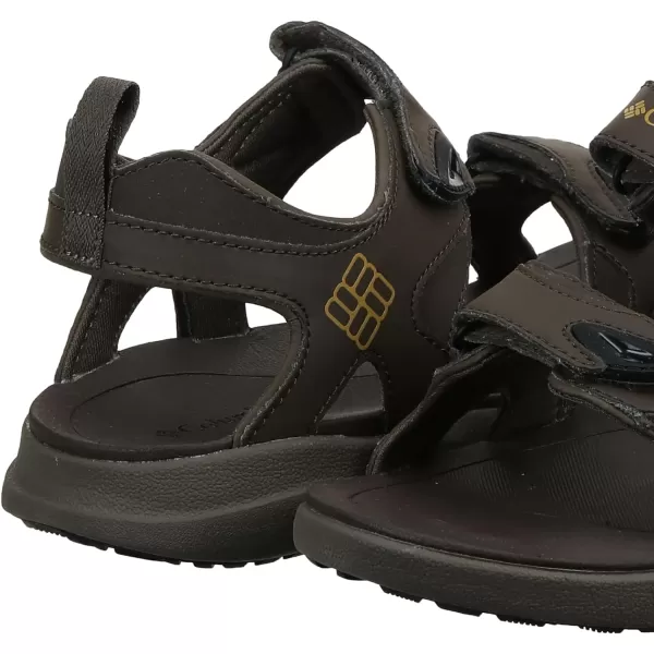Columbia Men's COLUMBIA 2 STRAP Sandal, Black/Ti Grey Steel, 15 Regular US