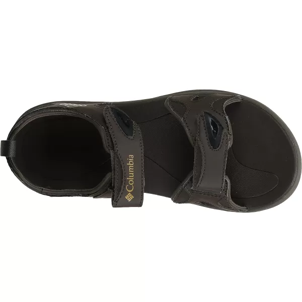 Columbia Men's COLUMBIA 2 STRAP Sandal, Black/Ti Grey Steel, 15 Regular US