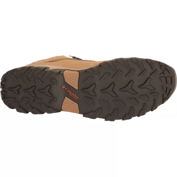 Columbia Men's Newton Ridge Plus Ii Suede Waterproof Hiking Boot