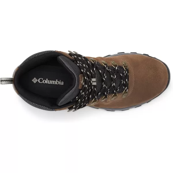 Columbia Men's Newton Ridge Plus Ii Suede Waterproof Hiking Boot