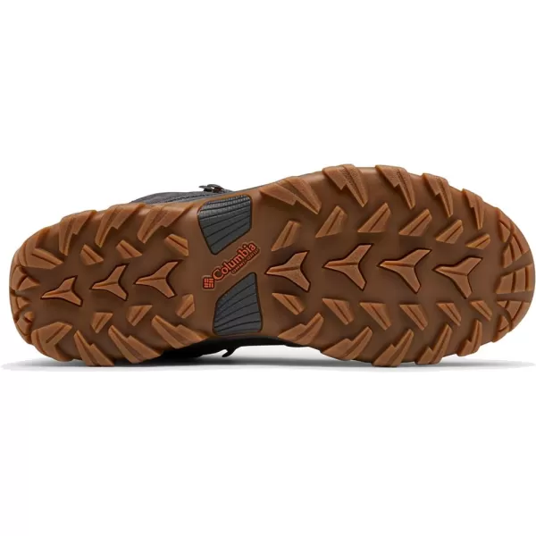 Columbia Men's Newton Ridge Plus Ii Suede Waterproof Hiking Boot