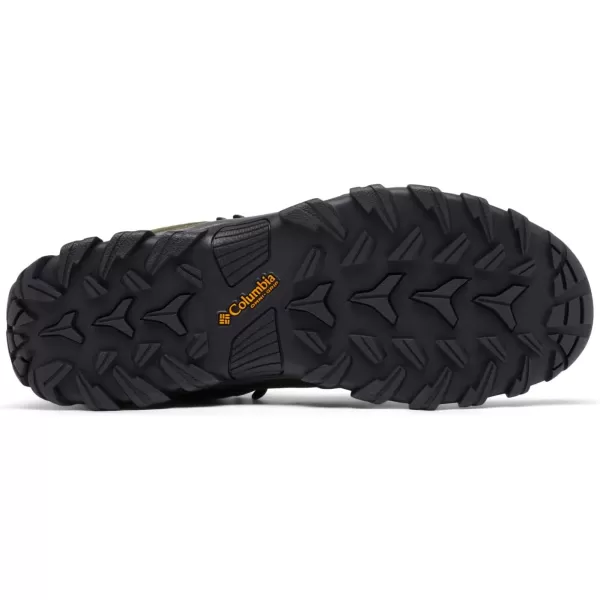 Columbia Men's Newton Ridge Plus Ii Suede Waterproof Hiking Boot