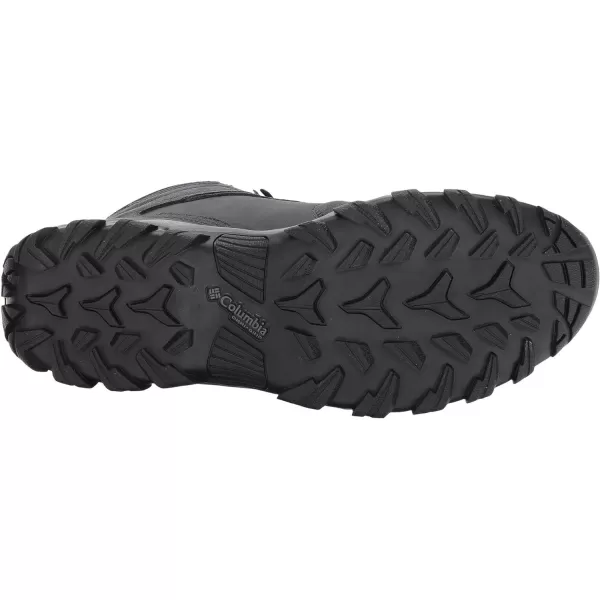 Columbia Men's Newton Ridge Plus Ii Suede Waterproof Hiking Boot