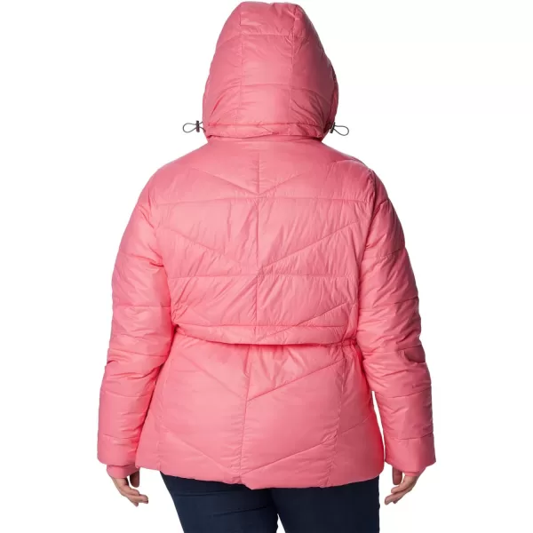 Columbia Women's Peak to Park ii Insulated Hooded Jacket