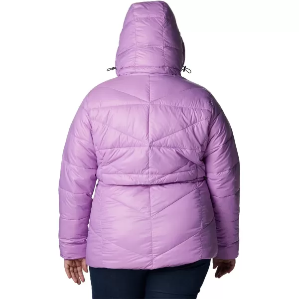 Columbia Women's Peak to Park ii Insulated Hooded Jacket