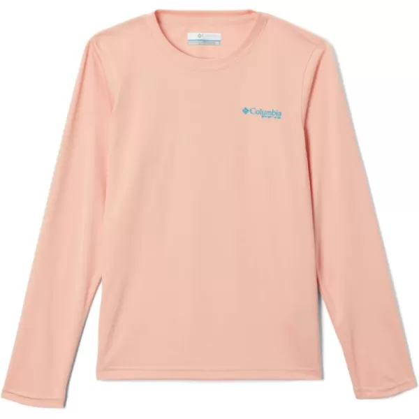 Columbia Boys' Terminal Tackle PFG Triangle Logo Long Sleeve
