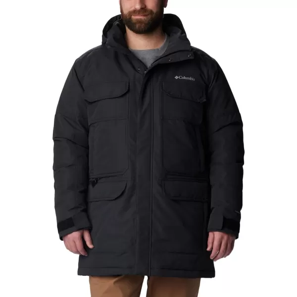 Columbia Men's Landroamer Down Parka
