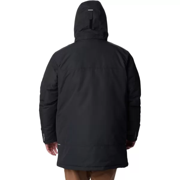 Columbia Men's Landroamer Down Parka