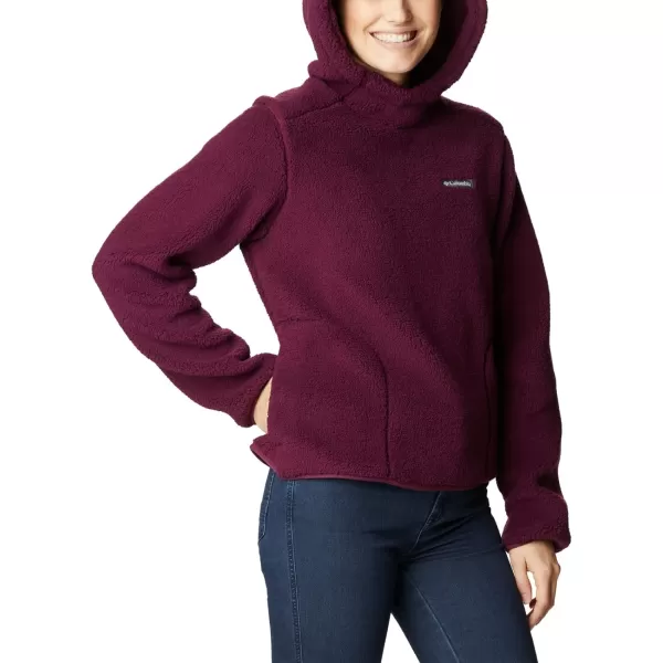 Columbia Women's West Bend Hoodie