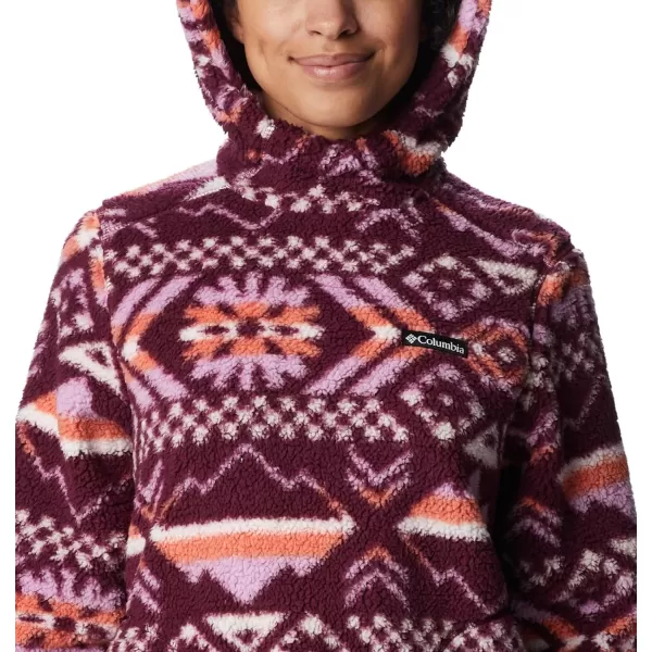 Columbia Women's West Bend Hoodie