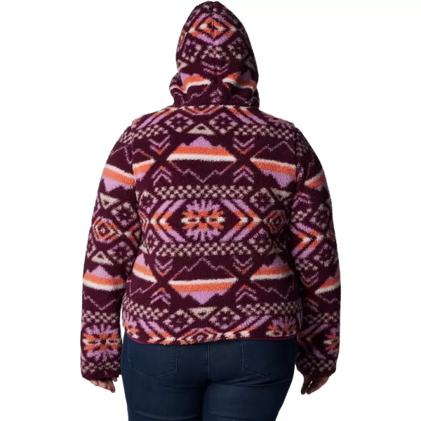 Columbia Women's West Bend Hoodie