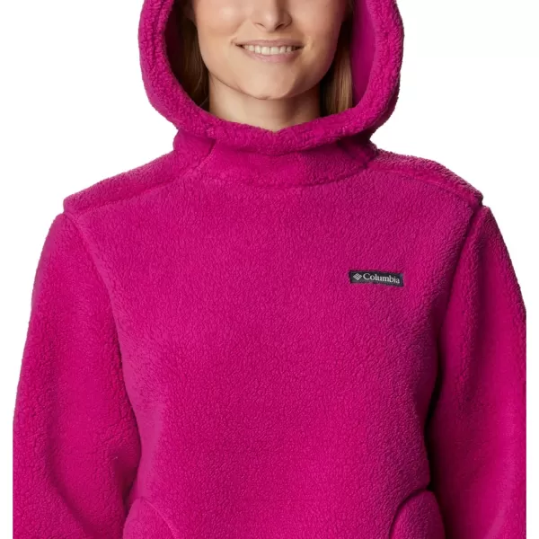 Columbia Women's West Bend Hoodie