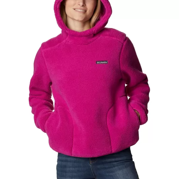 Columbia Women's West Bend Hoodie