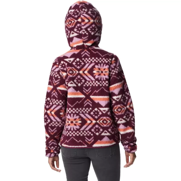 Columbia Women's West Bend Hoodie