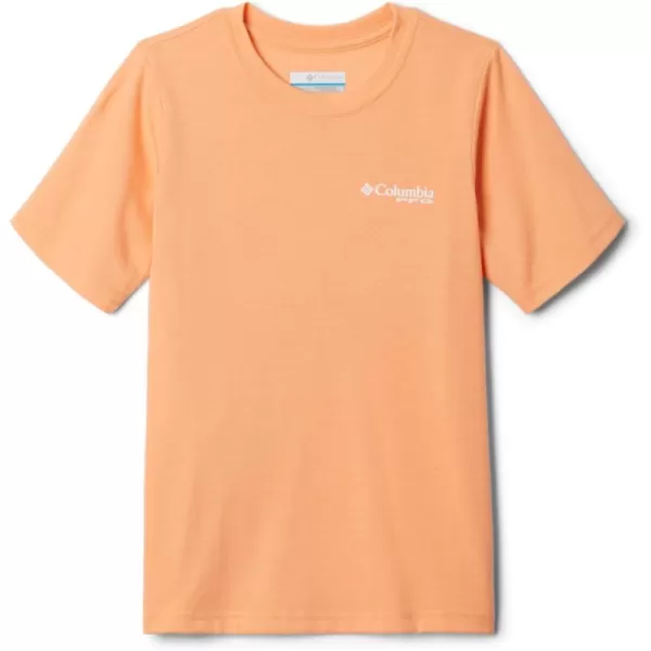 Columbia Boys' PFG Short Sleeve Seasonal Graphic Tee