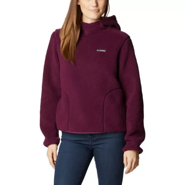 Columbia Women's West Bend Hoodie