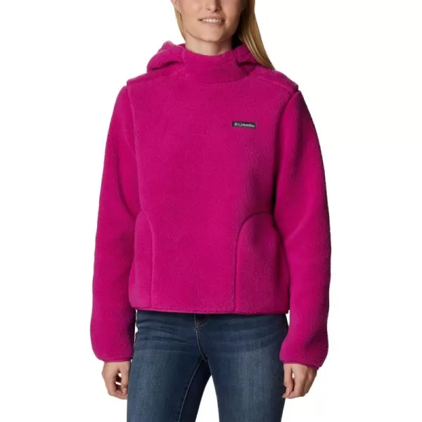 Columbia Women's West Bend Hoodie