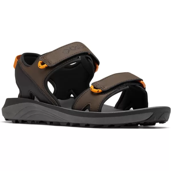 Men's Trailstorm Sandal Sport
