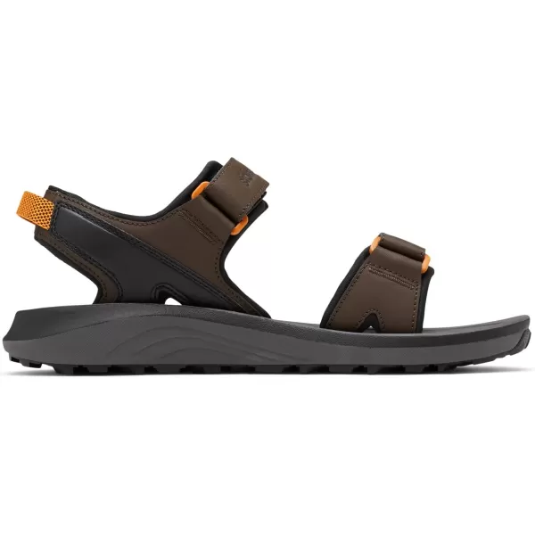 Men's Trailstorm Sandal Sport