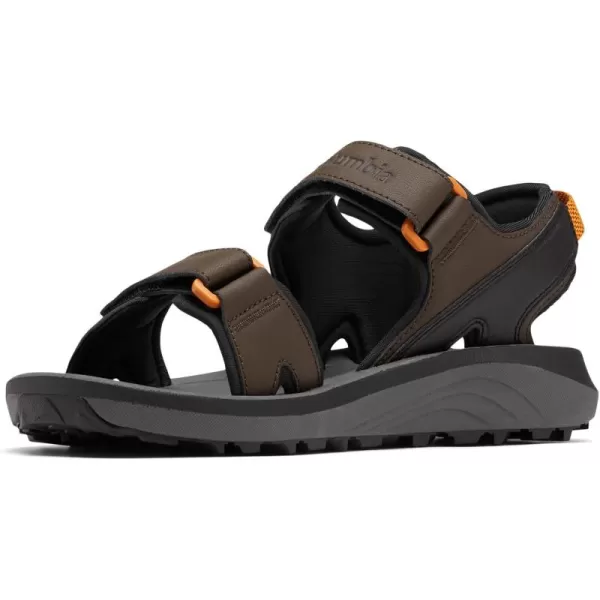 Men's Trailstorm Sandal Sport
