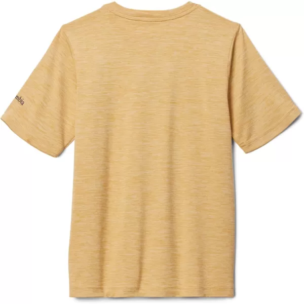 Columbia Boys' Mount Echo Short Sleeve Graphic Shirt