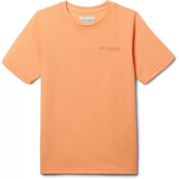 Columbia Baby Boys' Toddler PFG Short Sleeve Seasonal Graphic Tee