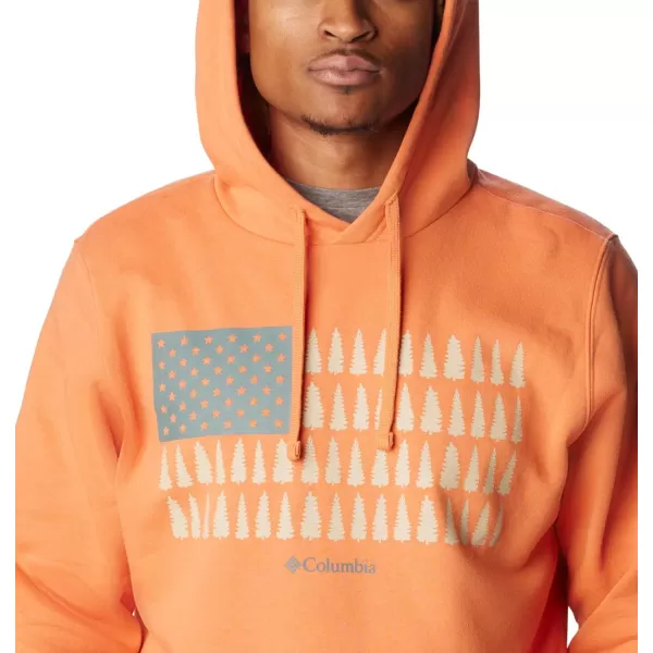 Columbia Men's Trek Graphic Hoodie
